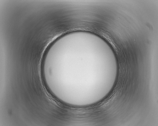 X0000116040395200911201026
