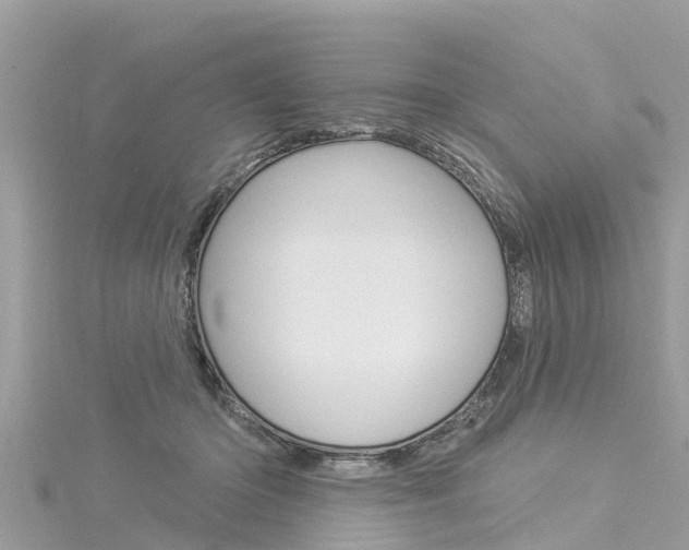 X0000116040414200911201025