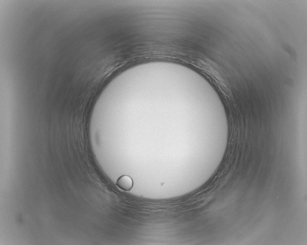 X0000116040415200911201025
