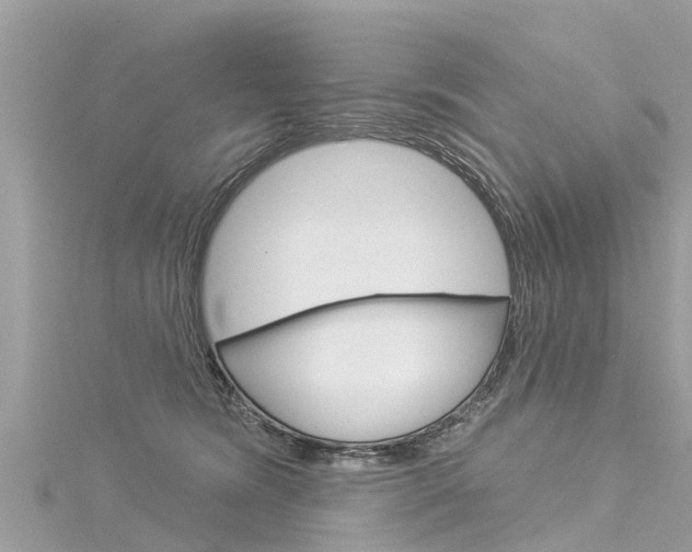 X0000116040420200911201025