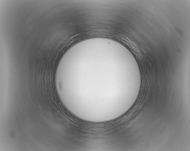X0000116040421200911201025