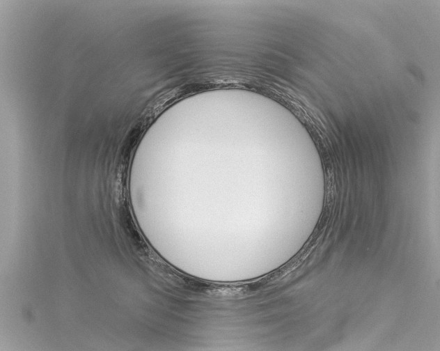 X0000116040422200911201025