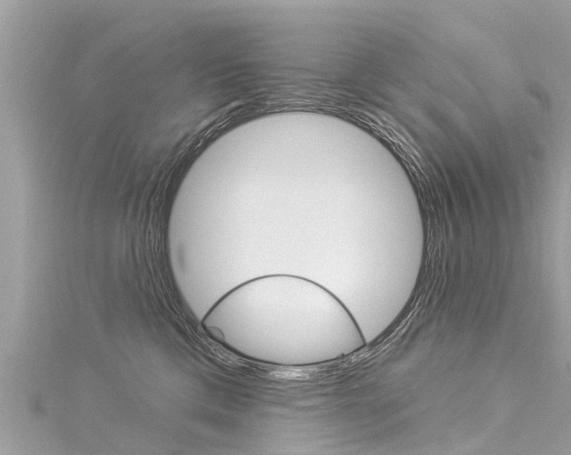 X0000116040425200911201025