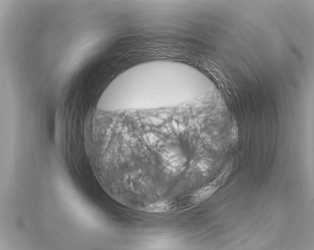 X0000116040430200911201025