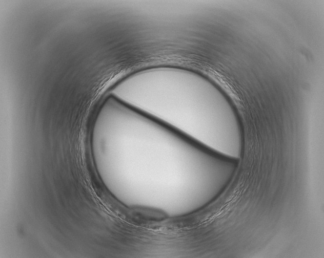 X0000116040434200911201024