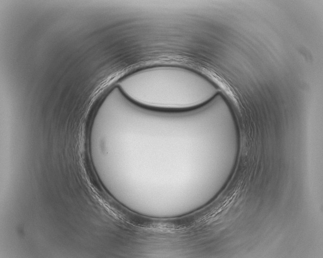 X0000116040437200911201024