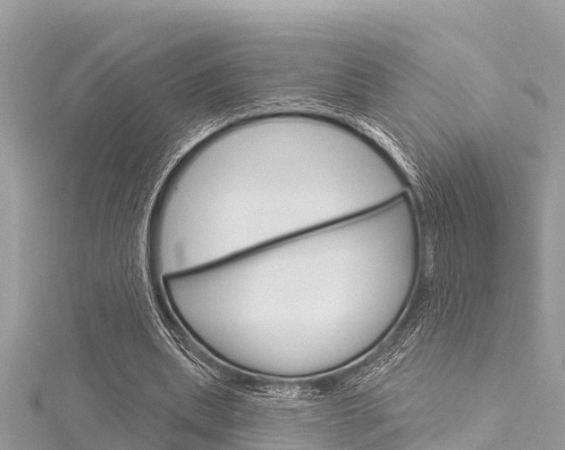 X0000116040439200911201024