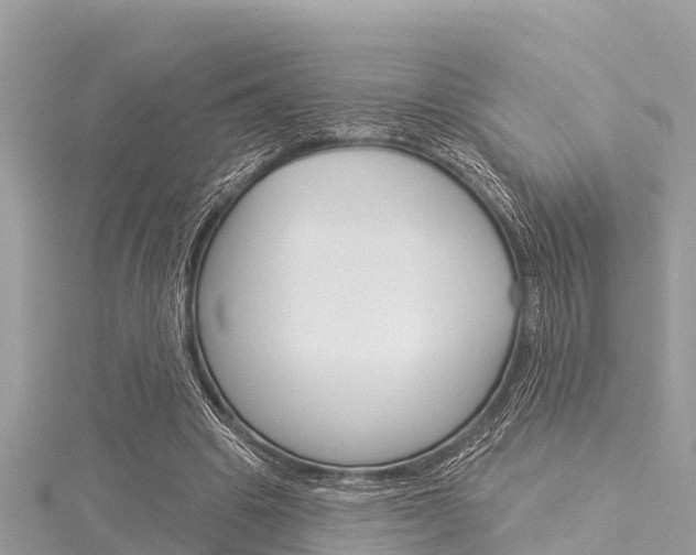 X0000116040441200911201024