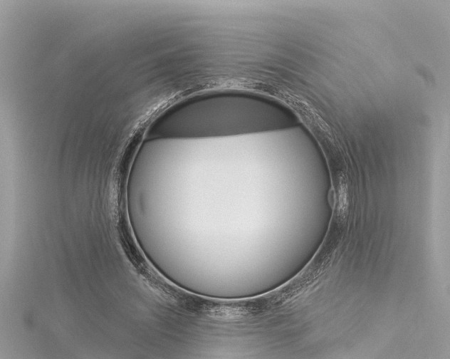 X0000116040444200911201025