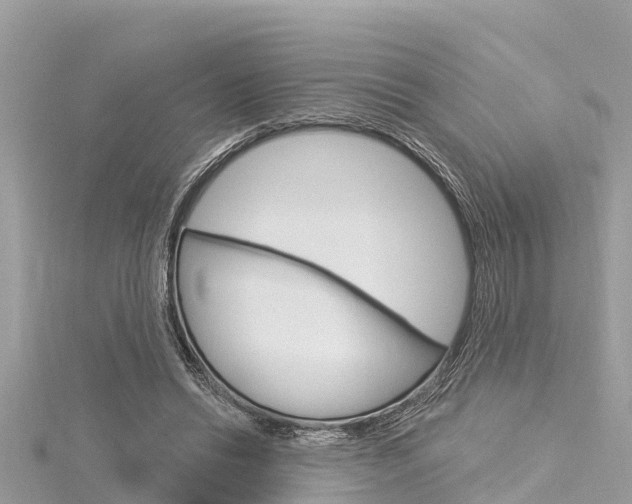 X0000116040446200911201025