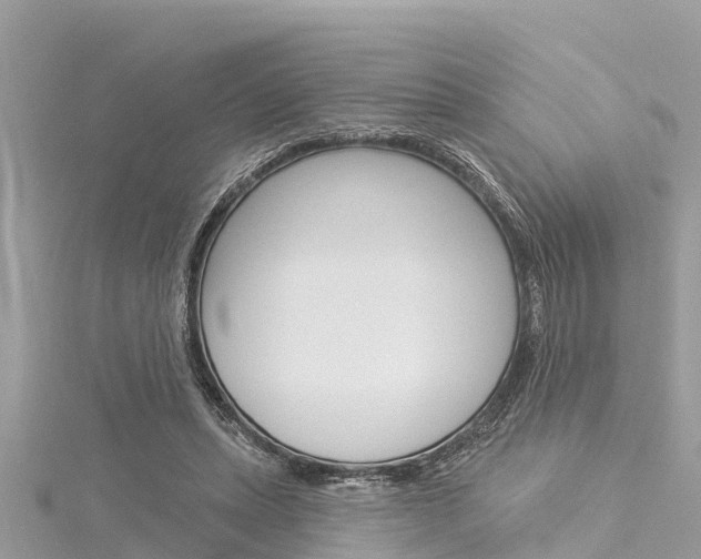 X0000116040447200911201025