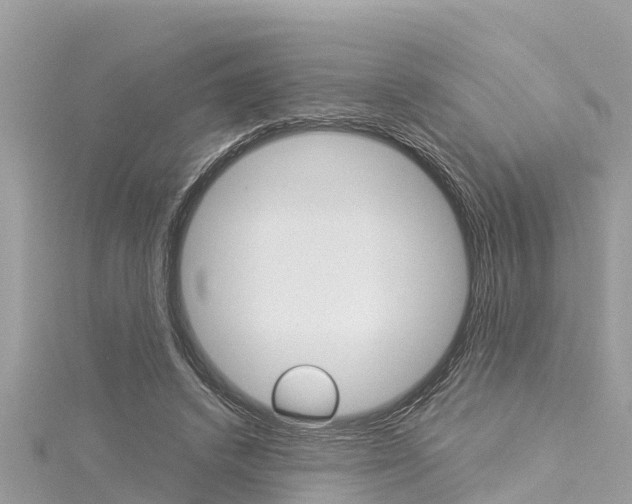 X0000116040448200911201025