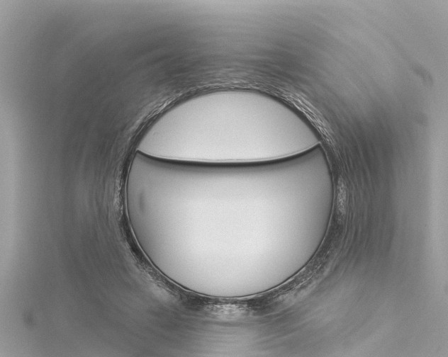 X0000116040449200911201025