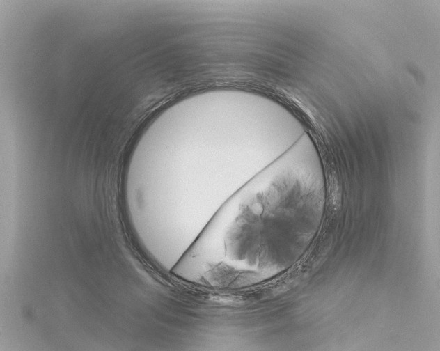 X0000116040455200911201025