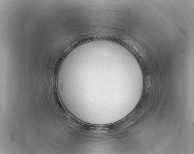 X0000116040463200911201025