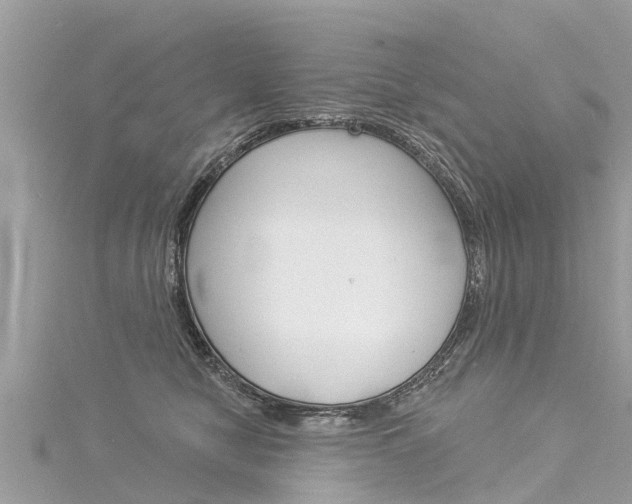 X0000116040470200911201025