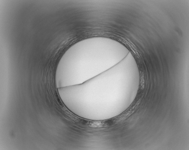 X0000116040473200911201025