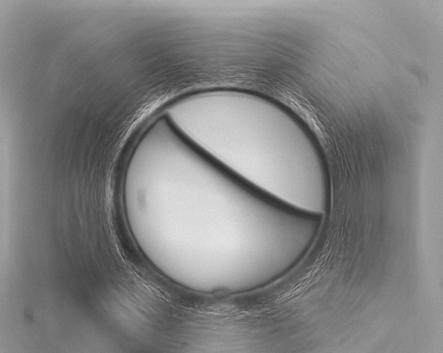 X0000116040483200911201024