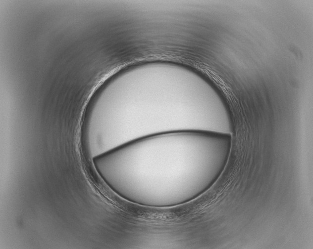 X0000116040488200911201024
