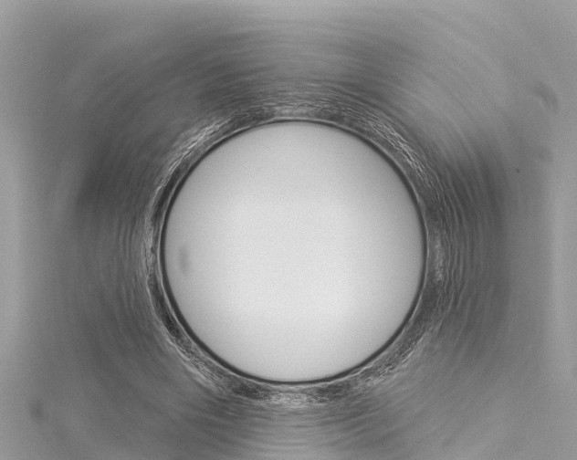 X0000116040490200911201024