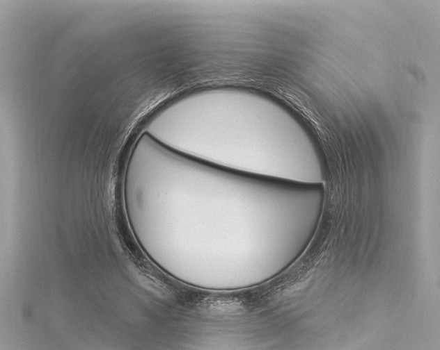X0000116040491200911201024