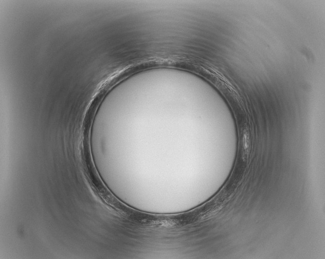 X0000116040492200911201024