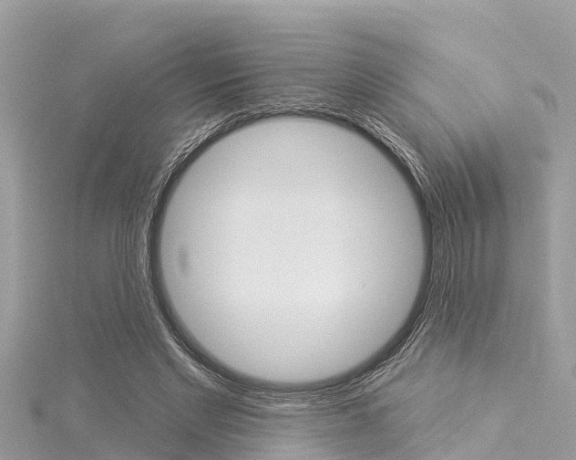 X0000116040493200911201024