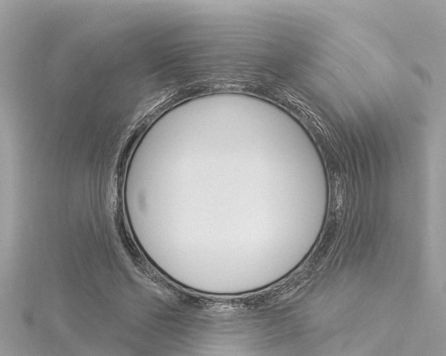 X0000116040494200911201024
