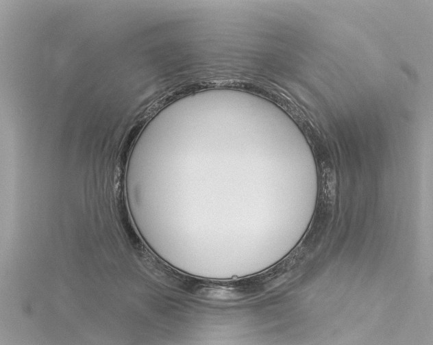 X0000116040507200911201024