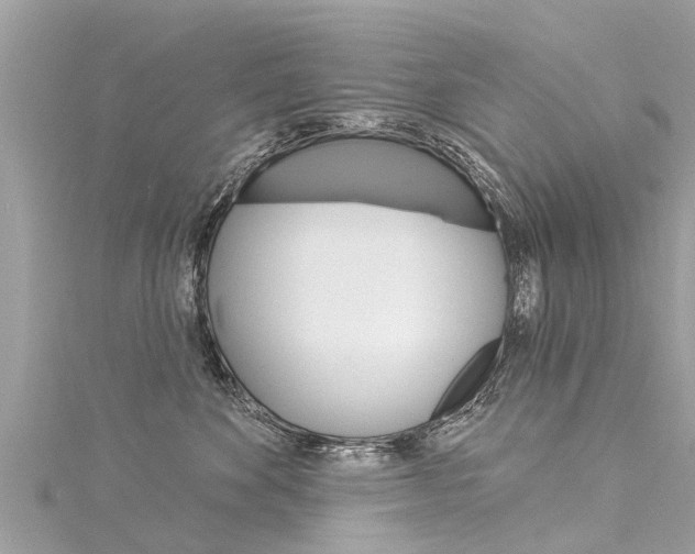 X0000116040524200911201024