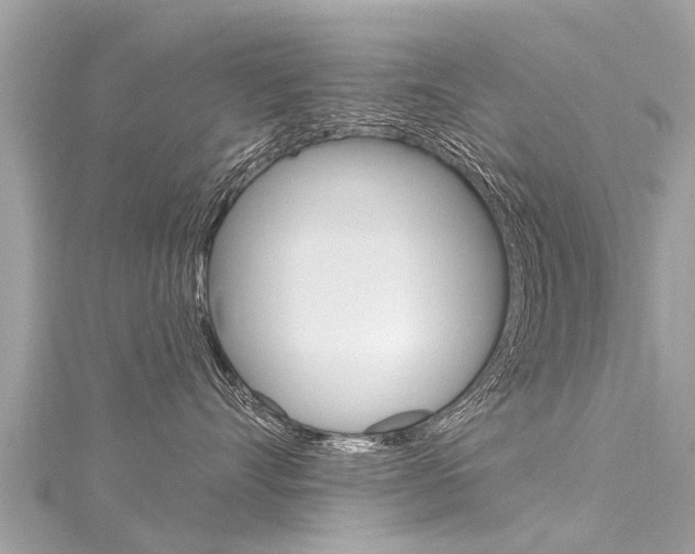 X0000116040528200911201024