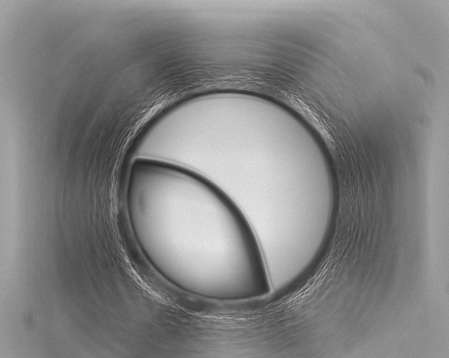 X0000116040530200911201023