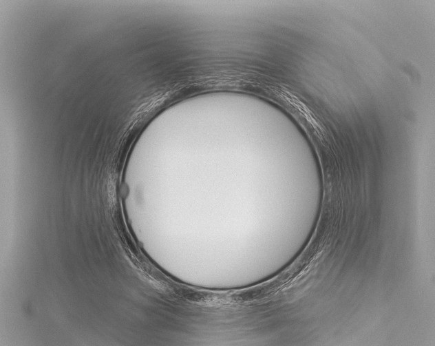 X0000116040537200911201023