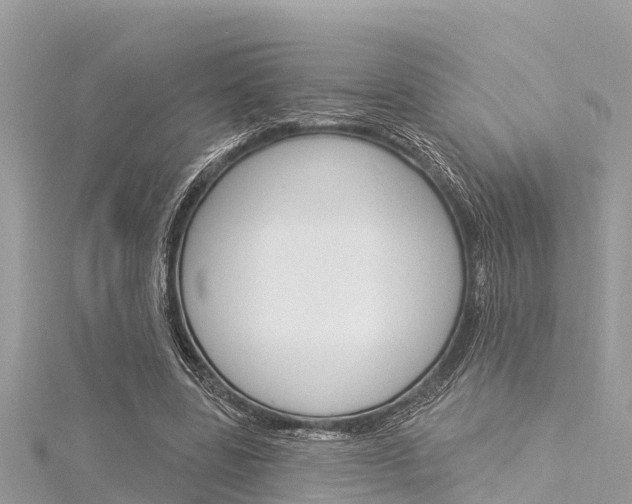 X0000116040539200911201023