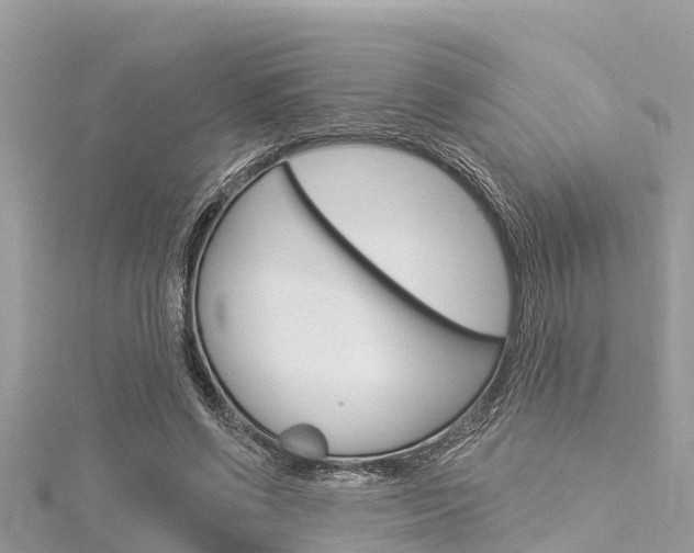 X0000116040542200911201023