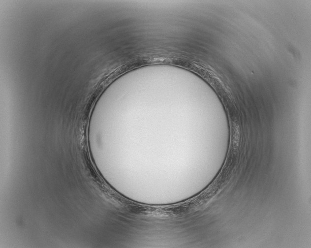 X0000116040545200911201023