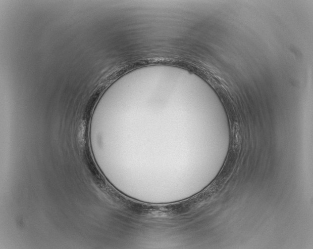 X0000116040550200911201023