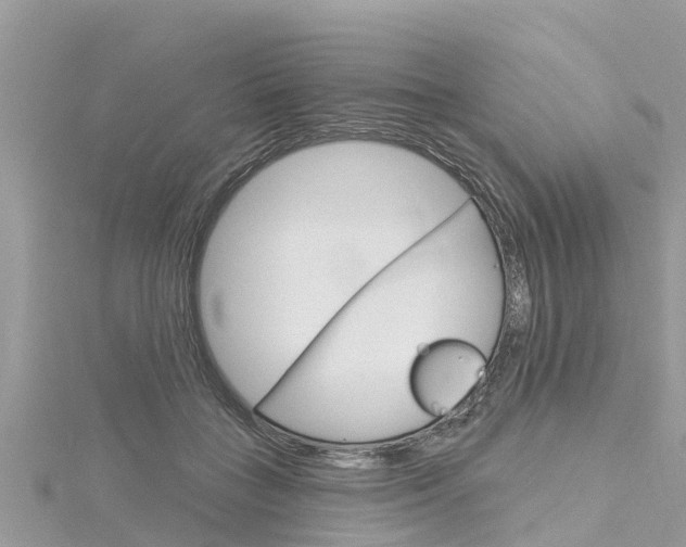 X0000116040555200911201023