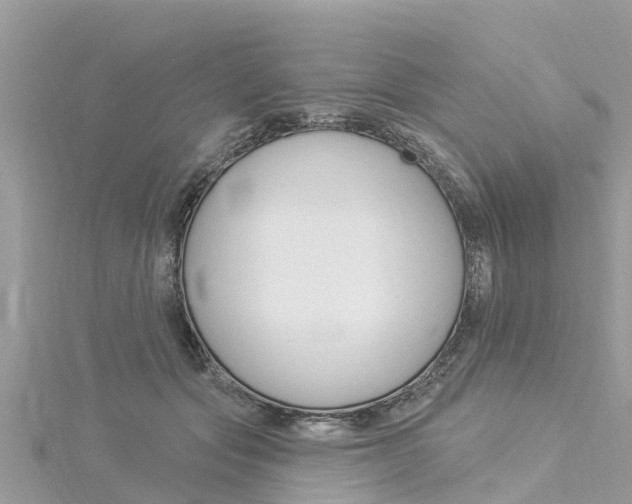 X0000116040557200911201023