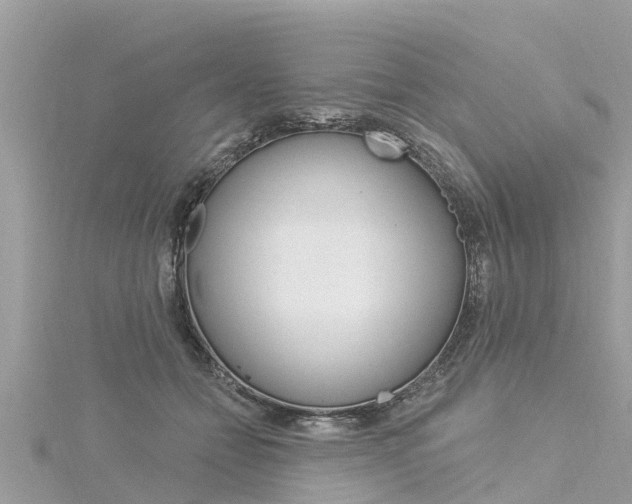 X0000116040558200911201024