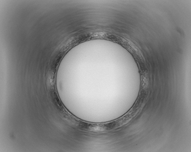 X0000116040561200911201024