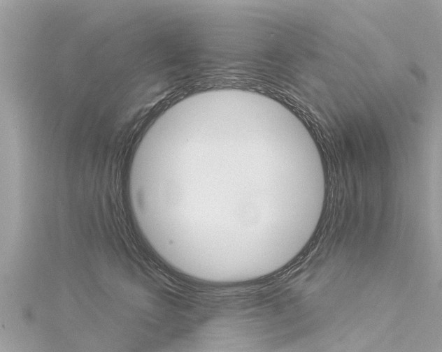 X0000116040566200911201024