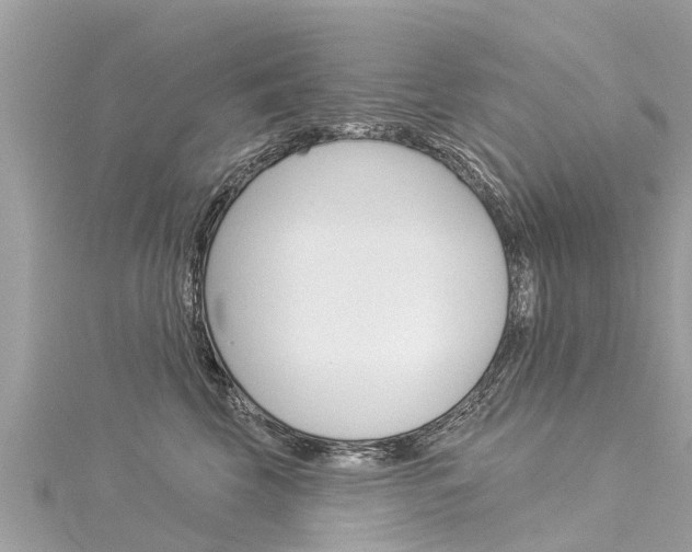 X0000116040569200911201024