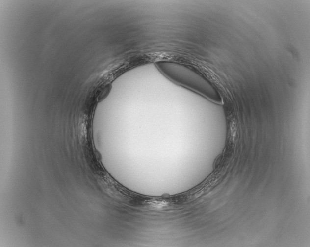 X0000116040570200911201024