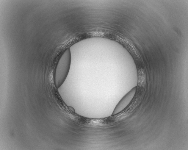 X0000116040573200911201024