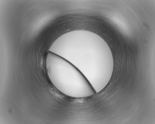 X0000116040574200911201024