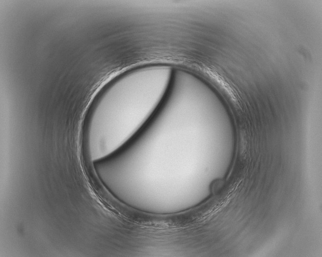 X0000116040580200911201023