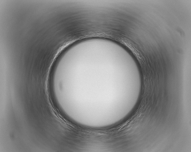 X0000116040583200911201023