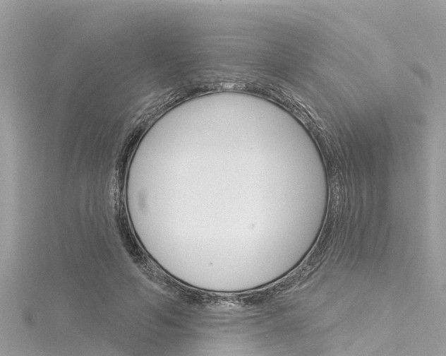 X0000116040594200911201023