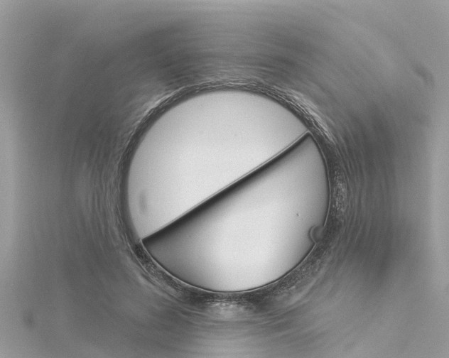 X0000116040596200911201023